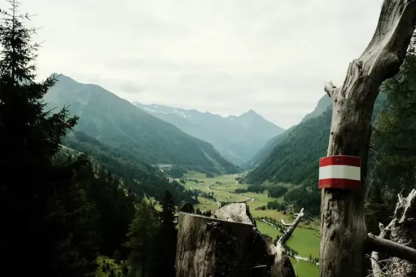 werbeagentur österreich